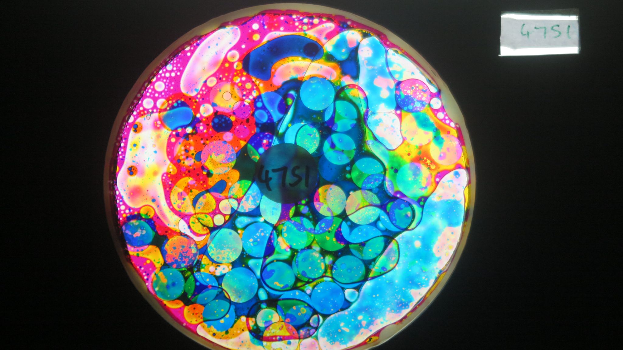 BV4751 bubble vision oil wheel